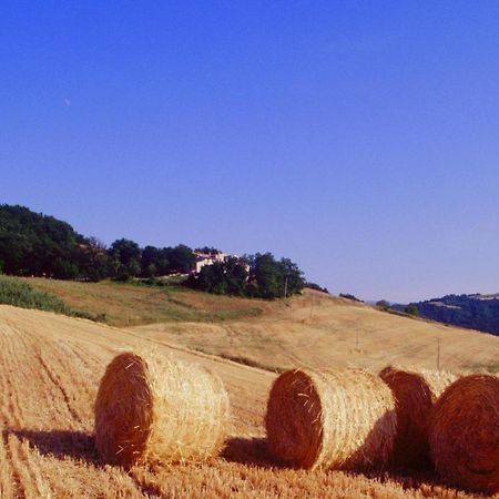 Апартаменты Agriturismo Il Fienile Di Ca Battista Кальи Экстерьер фото