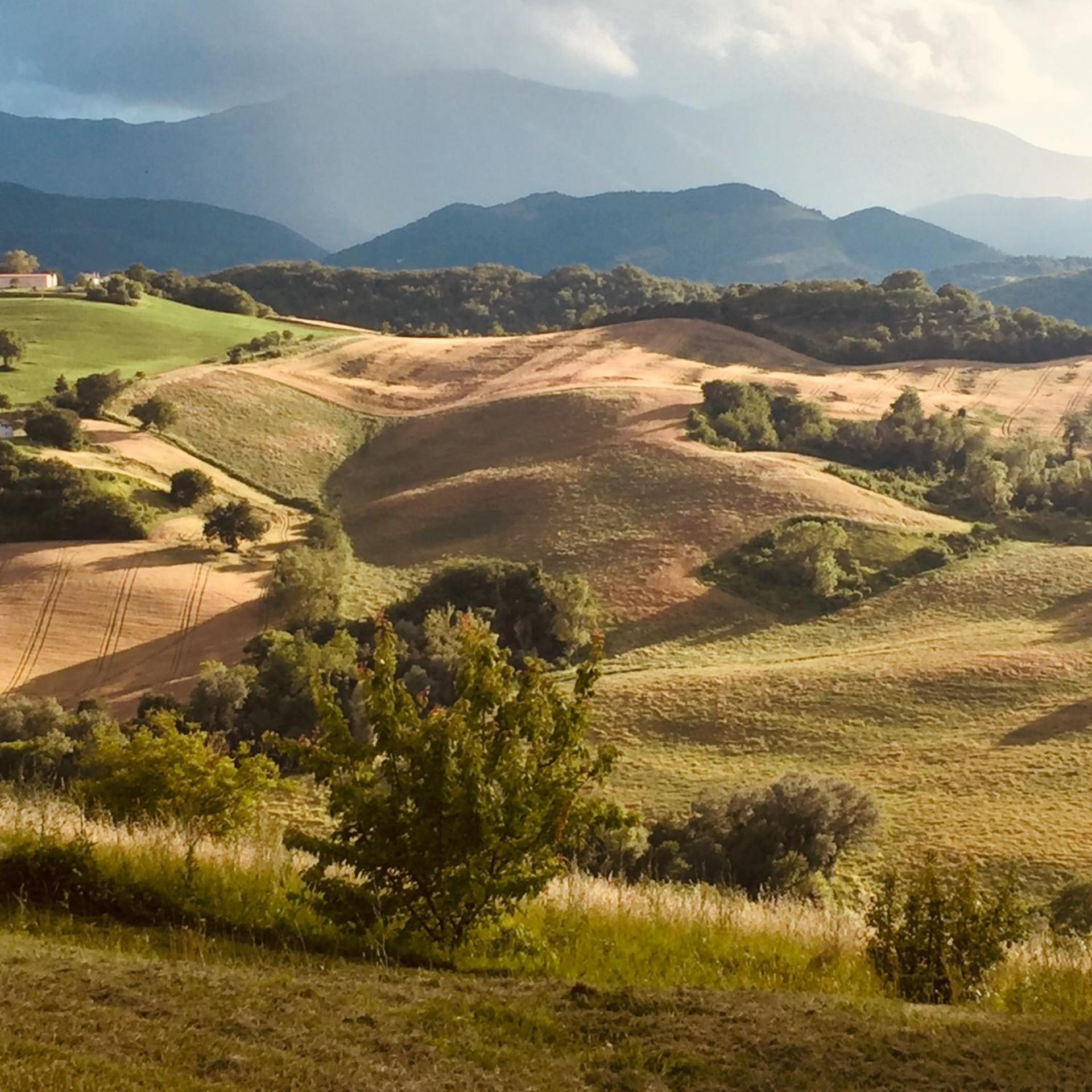 Апартаменты Agriturismo Il Fienile Di Ca Battista Кальи Экстерьер фото