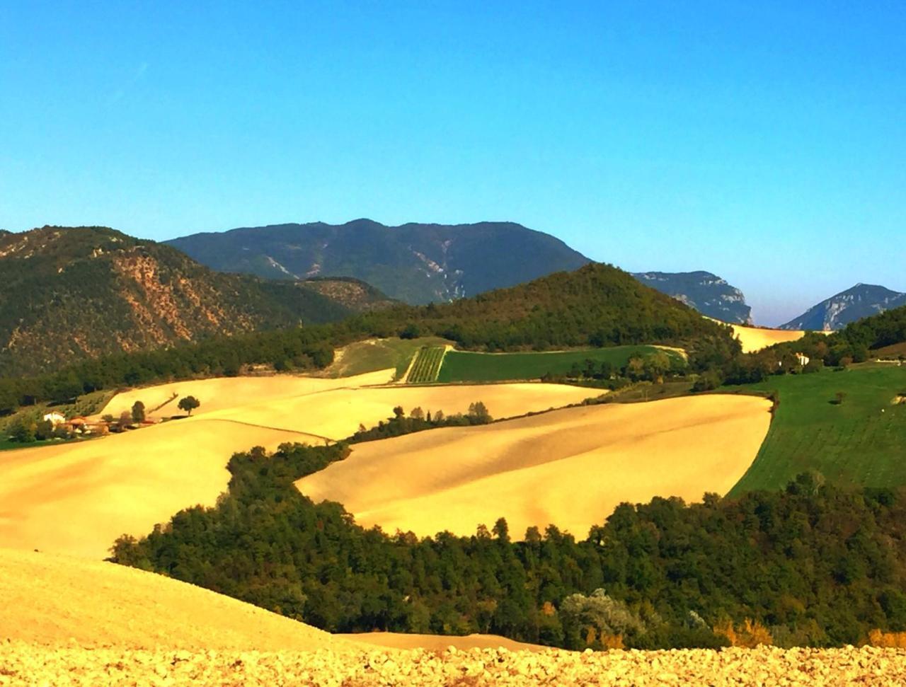 Апартаменты Agriturismo Il Fienile Di Ca Battista Кальи Экстерьер фото