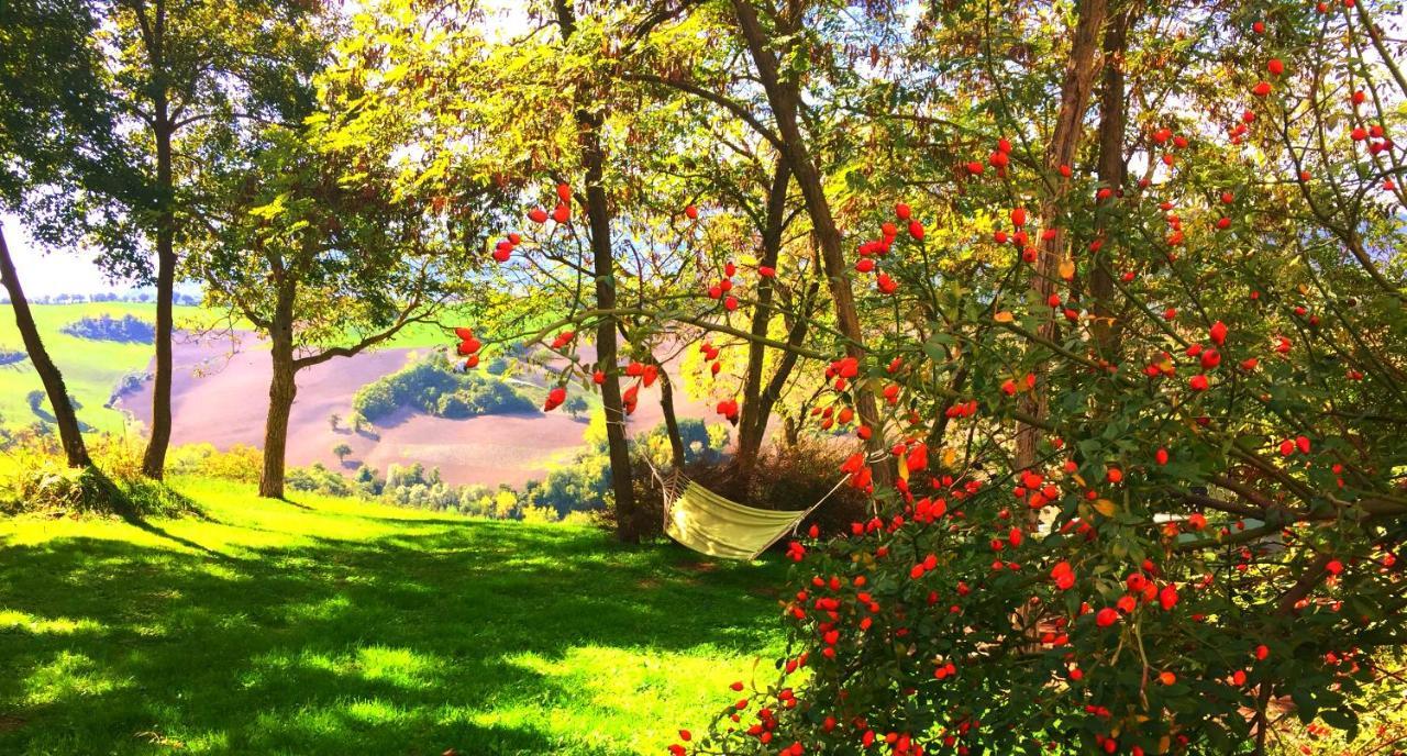 Agriturismo Il Fienile Di Ca Battista Кальи Экстерьер фото