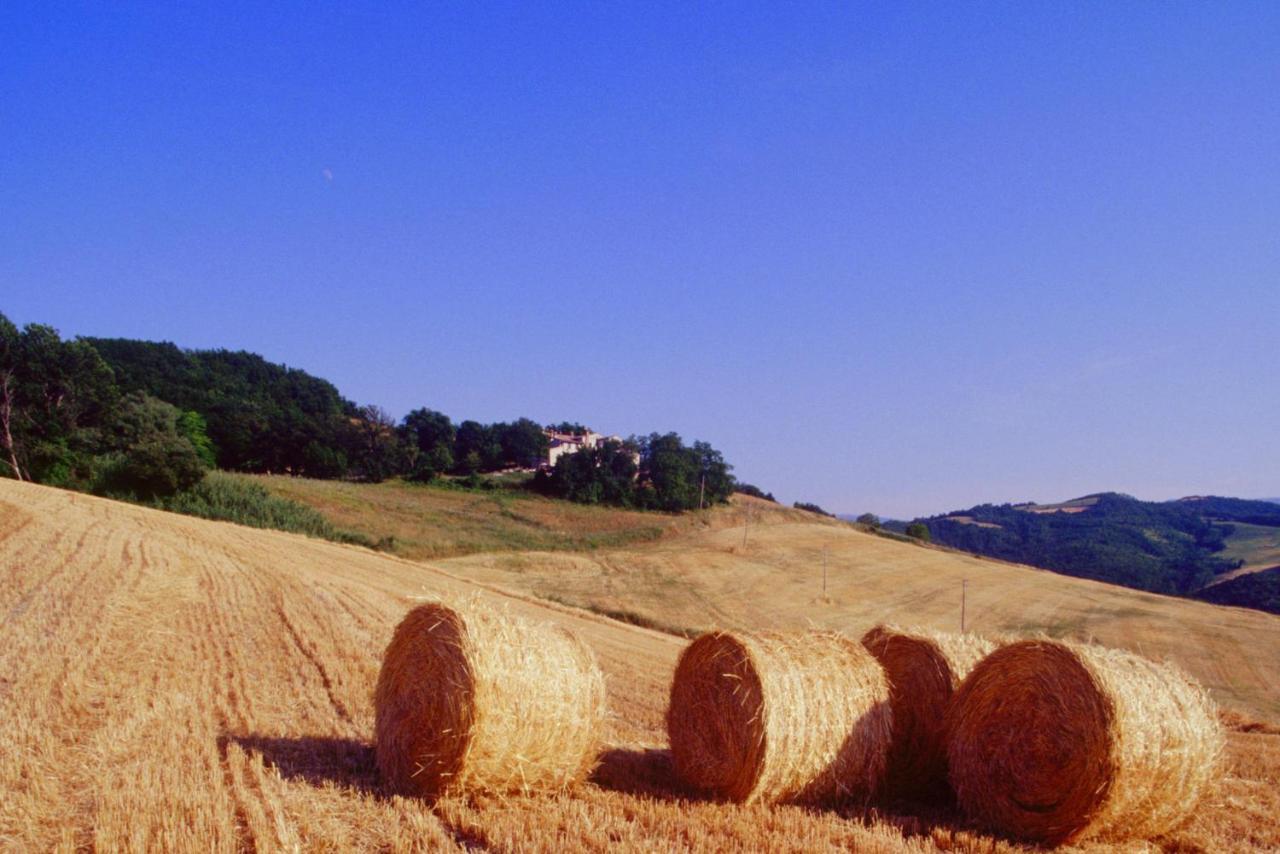 Апартаменты Agriturismo Il Fienile Di Ca Battista Кальи Экстерьер фото